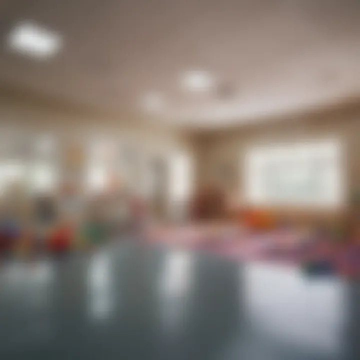 Overview of daycare facilities in a vibrant community setting