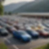 A vibrant used car lot showcasing a variety of vehicles.