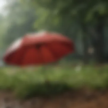 Comparing Umbrella Insurance Quotes Comparative analysis of different umbrella insurance quotes