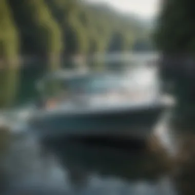 Coverage Options for Boat Rentals An infographic showcasing different boat rental insurance coverage options available in the market.